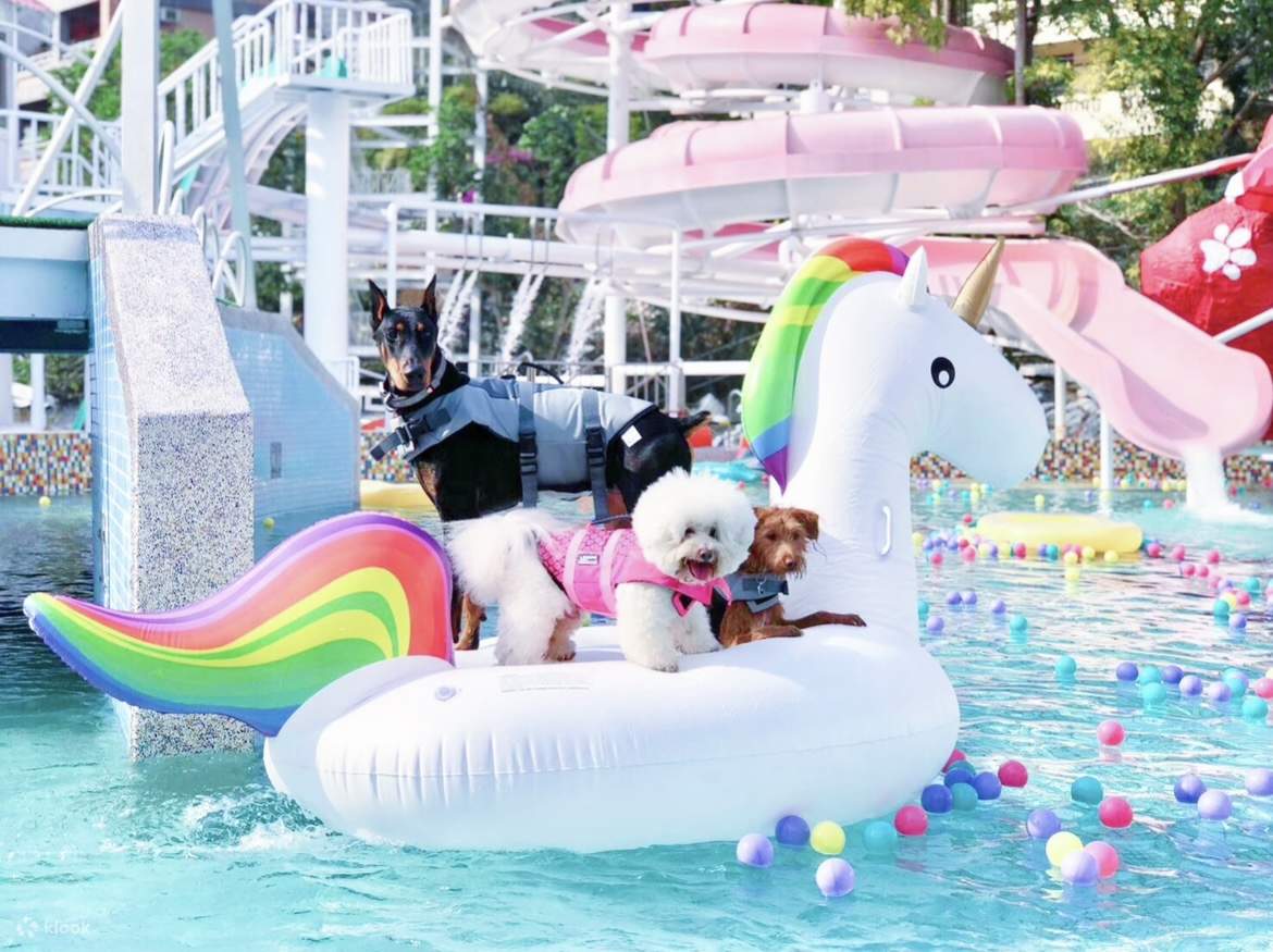 Le Monde de la Baie Joyeuse