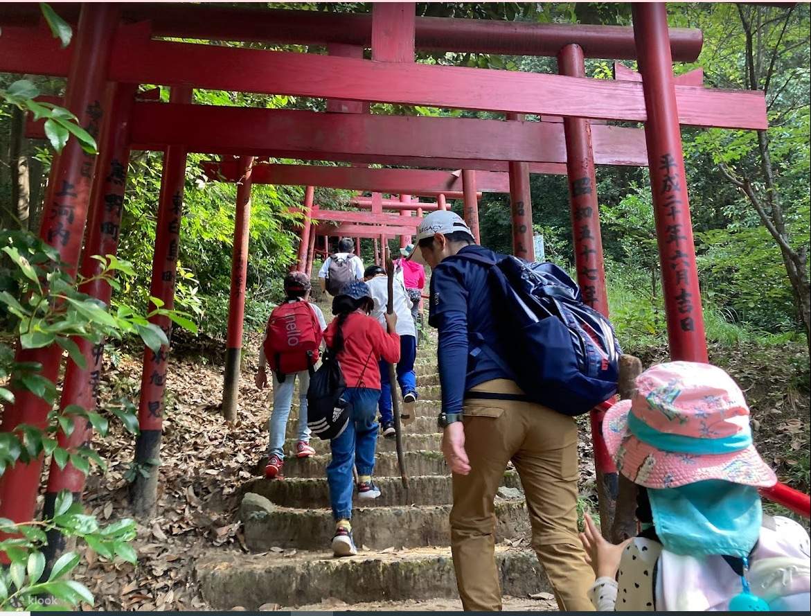 Excursion matinale de printemps à Hiroshima et cérémonie du thé en plein air