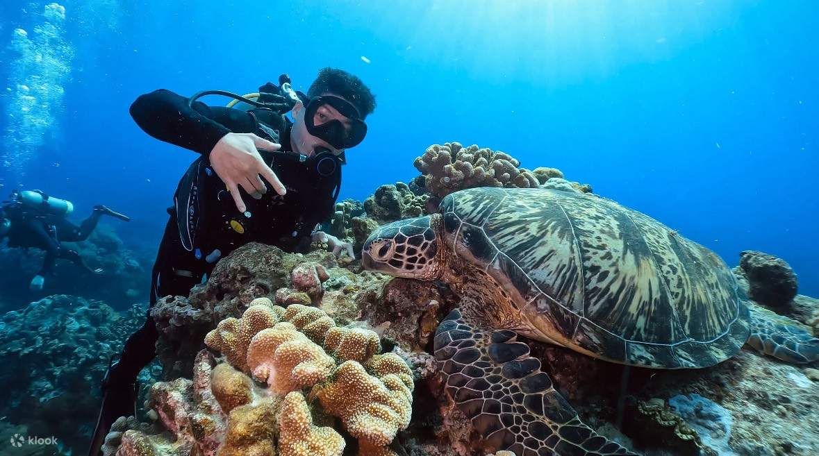 Isla Verde: Experiencia de buceo con cámara de descompresión