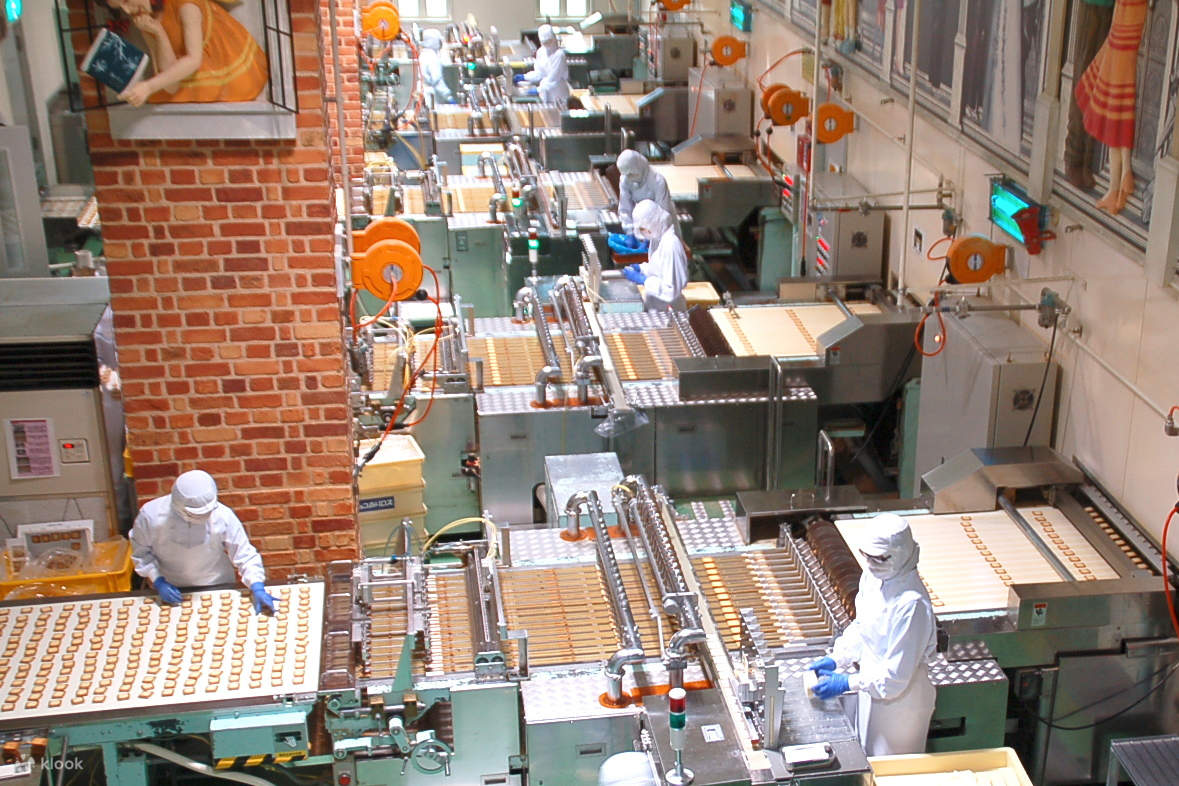 시로이 고이비토 공원 홋카이도 일본