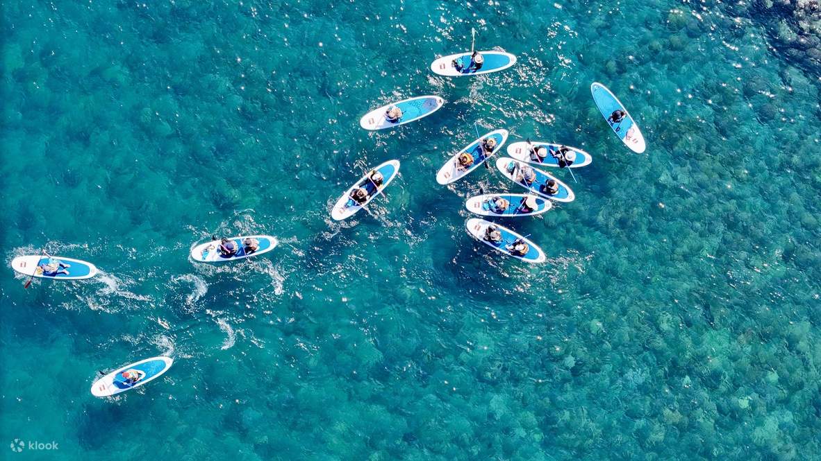 Yilan｜Water Walker Tages-Sommercamp für Meeresportarten - Stand Up Paddle Boarding & Kanufahren & Schnorcheln