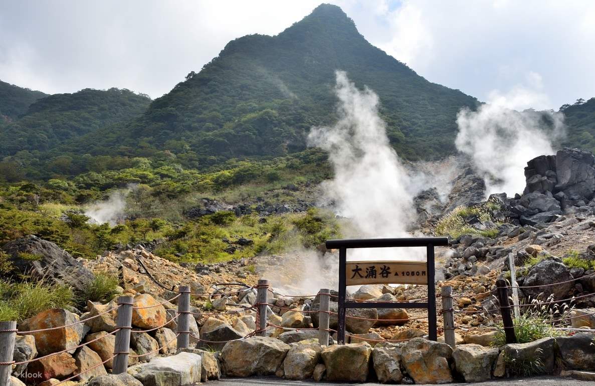 从东京出发的 10 小时富士山、箱根、镰仓私人包车游