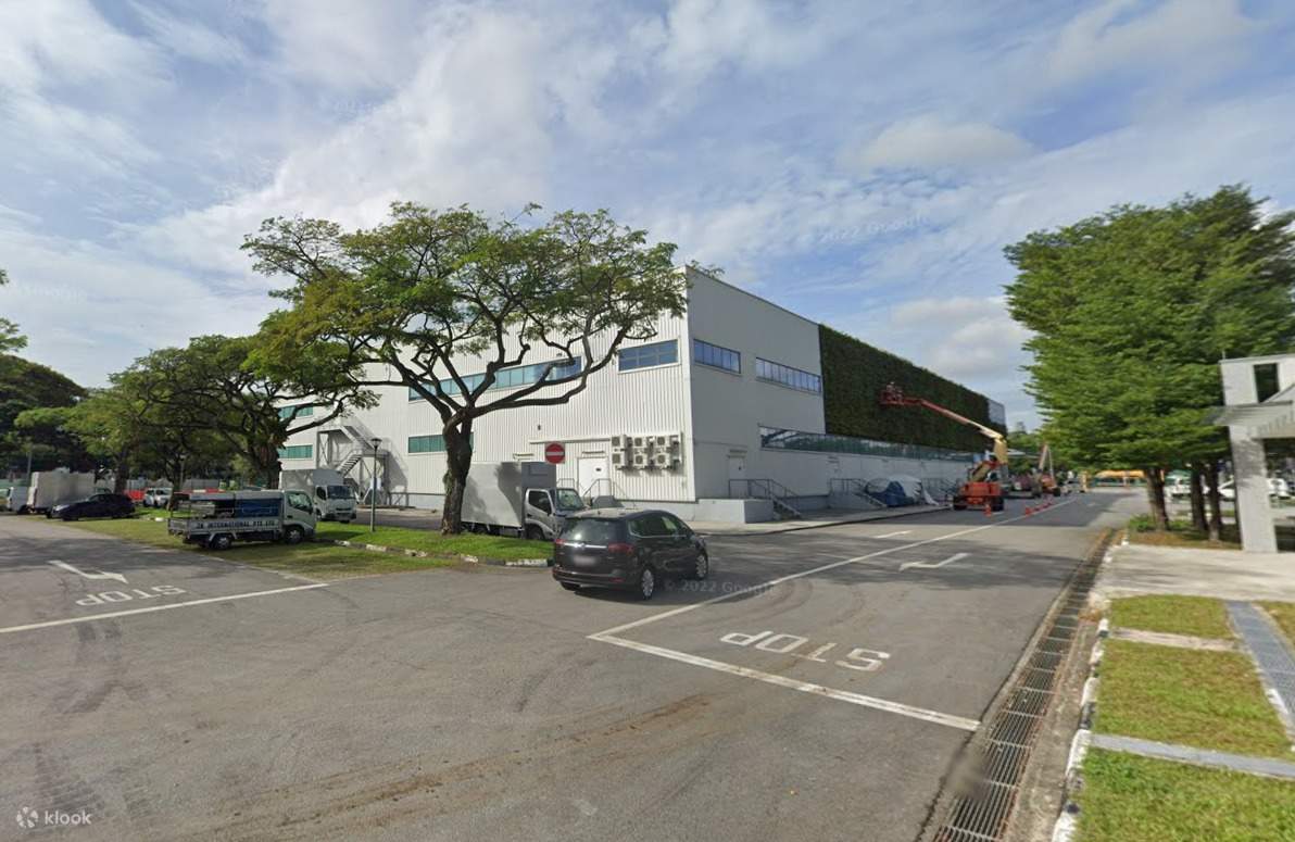 концерт в Сингапуре