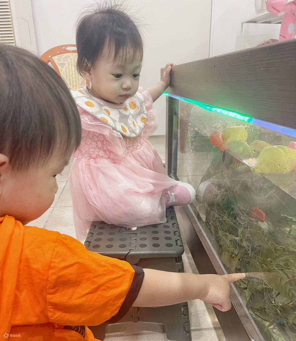 新莊: 樂甜釣蝦 - 親子で楽しめる釣り堀と金魚すくい、スマートボールの遊園地