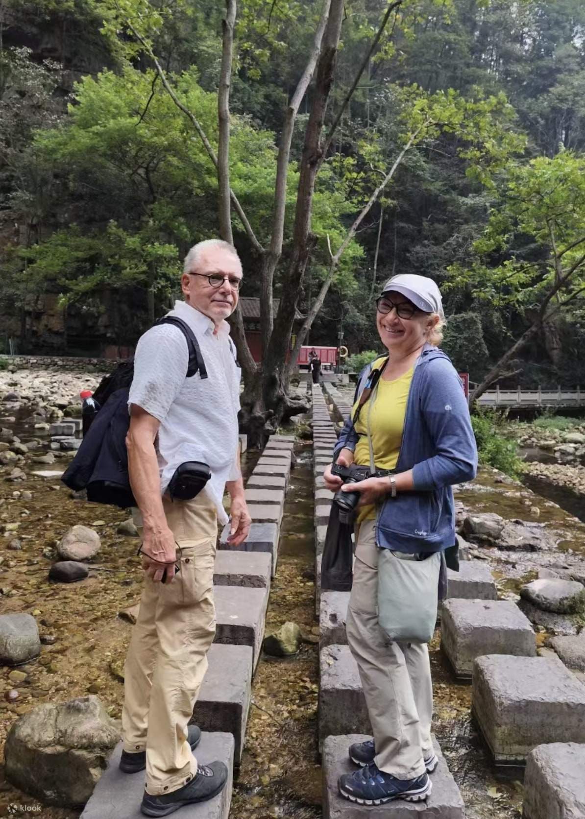 Zhangjiajie: Avatar Hallelujah Mountain and monkey Viewing Day Tour ...
