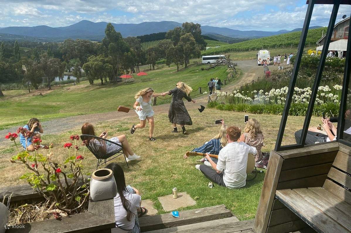 Laidback Yarra Valley Winery Tour with Wine, Gin, Cider, and Cheese Klook Singapore