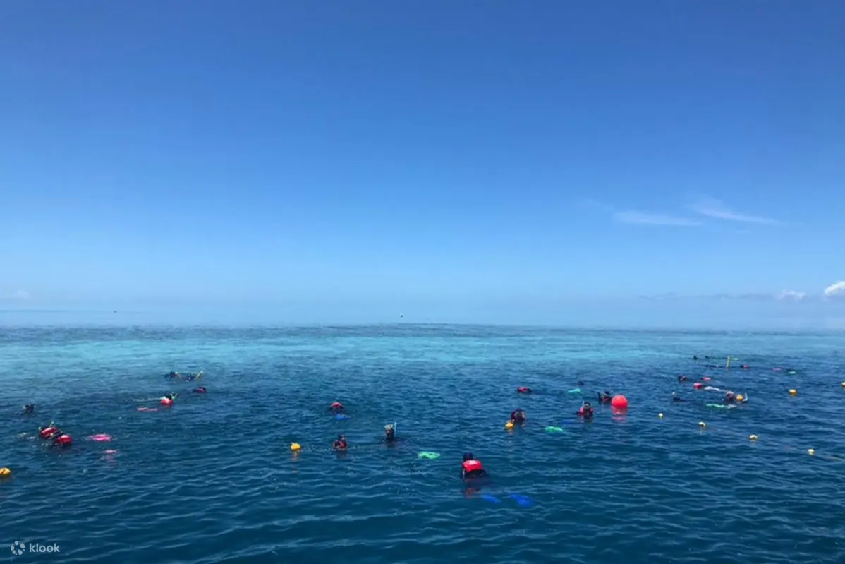 浮潜