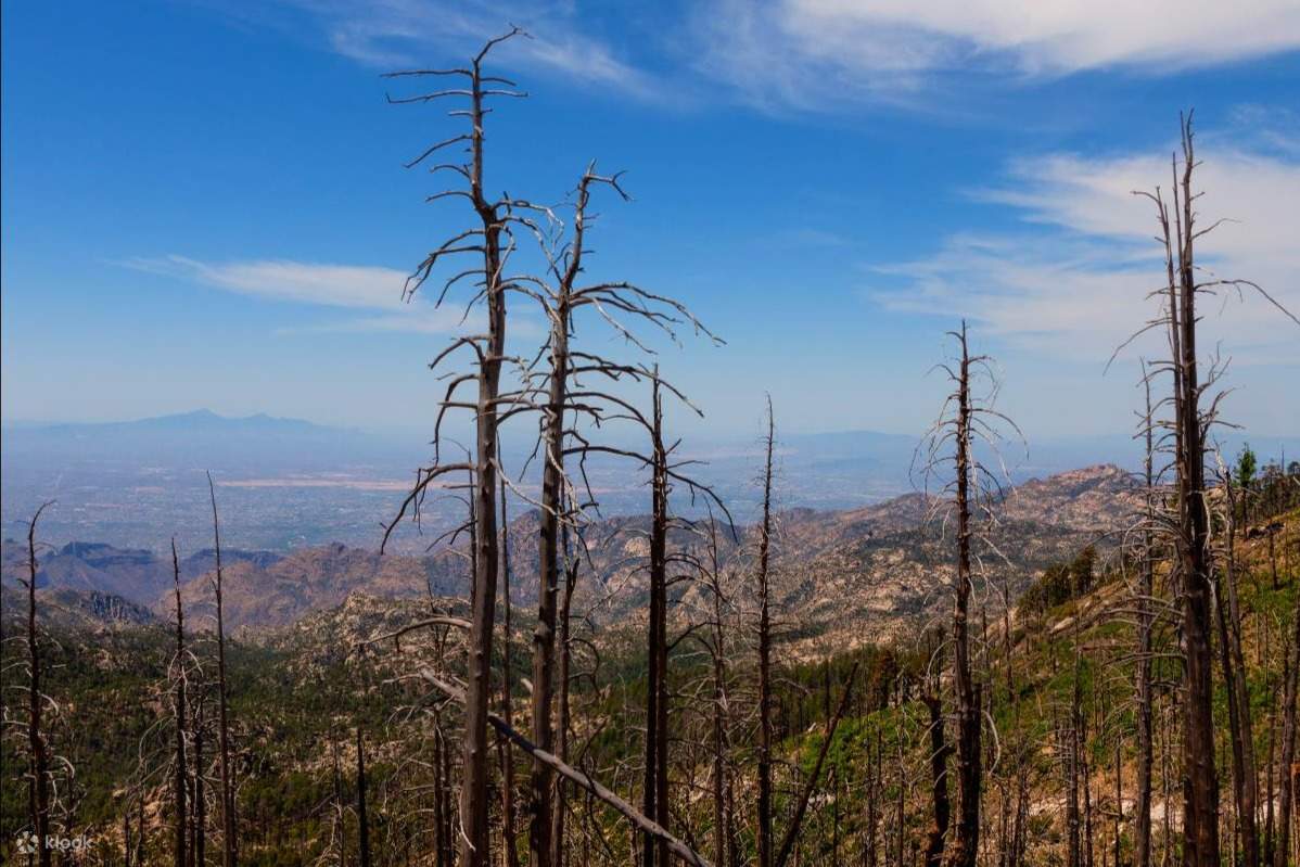 Mount Lemmon Driving Tour with Audio Guide Klook Philippines