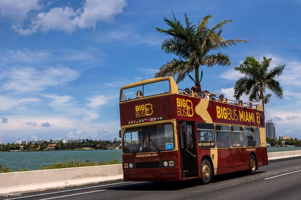 乗り降り自由なバス