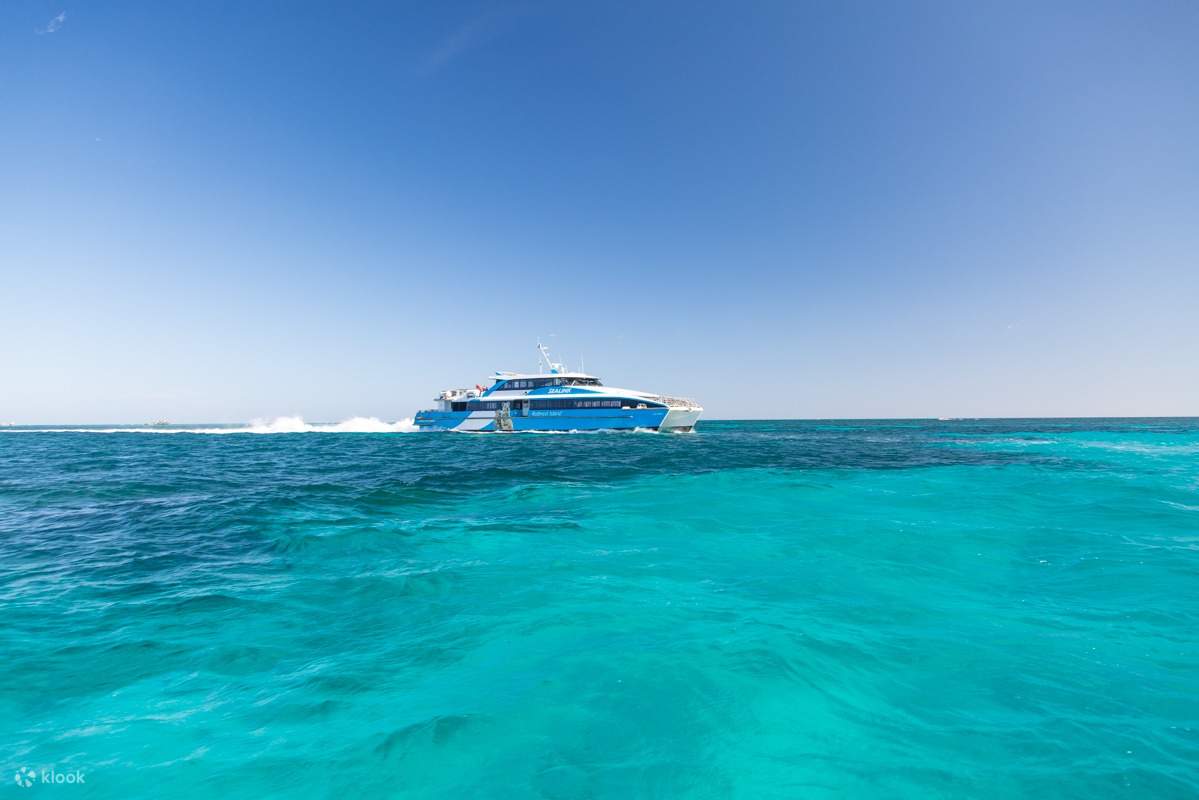 rottnest-island-ferry-tickets-from-perth-or-fremantle-klook-australia