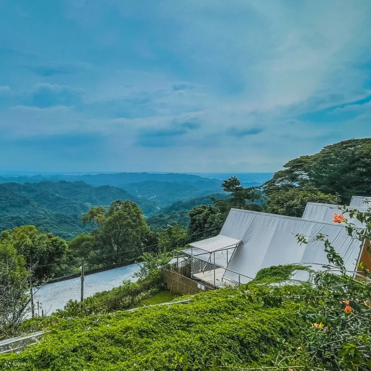 蝉说山中静静 桂花弄区风景