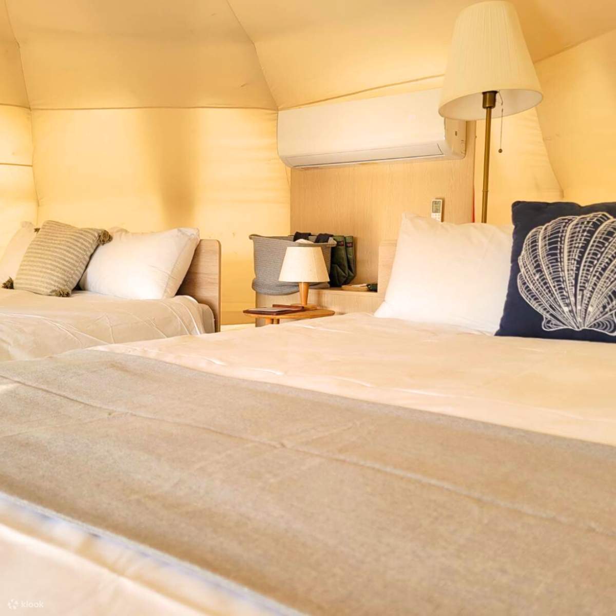 蝉说：夕阳漫漫｜床