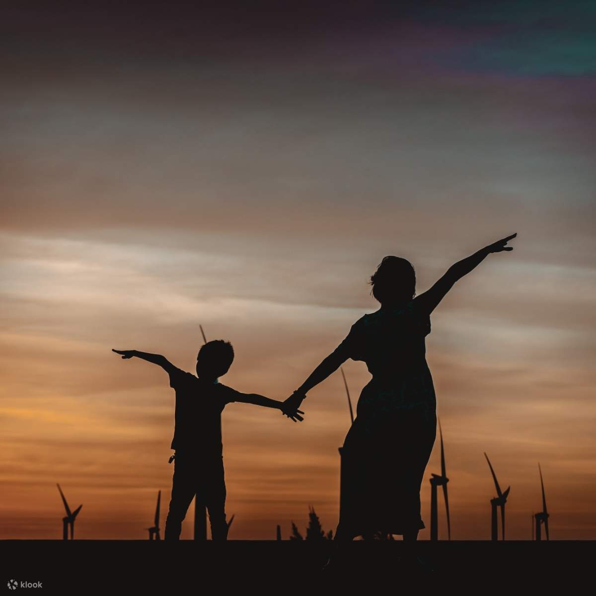 Cicada berkata: Matahari terbenam adalah panjang | Daerah Conch