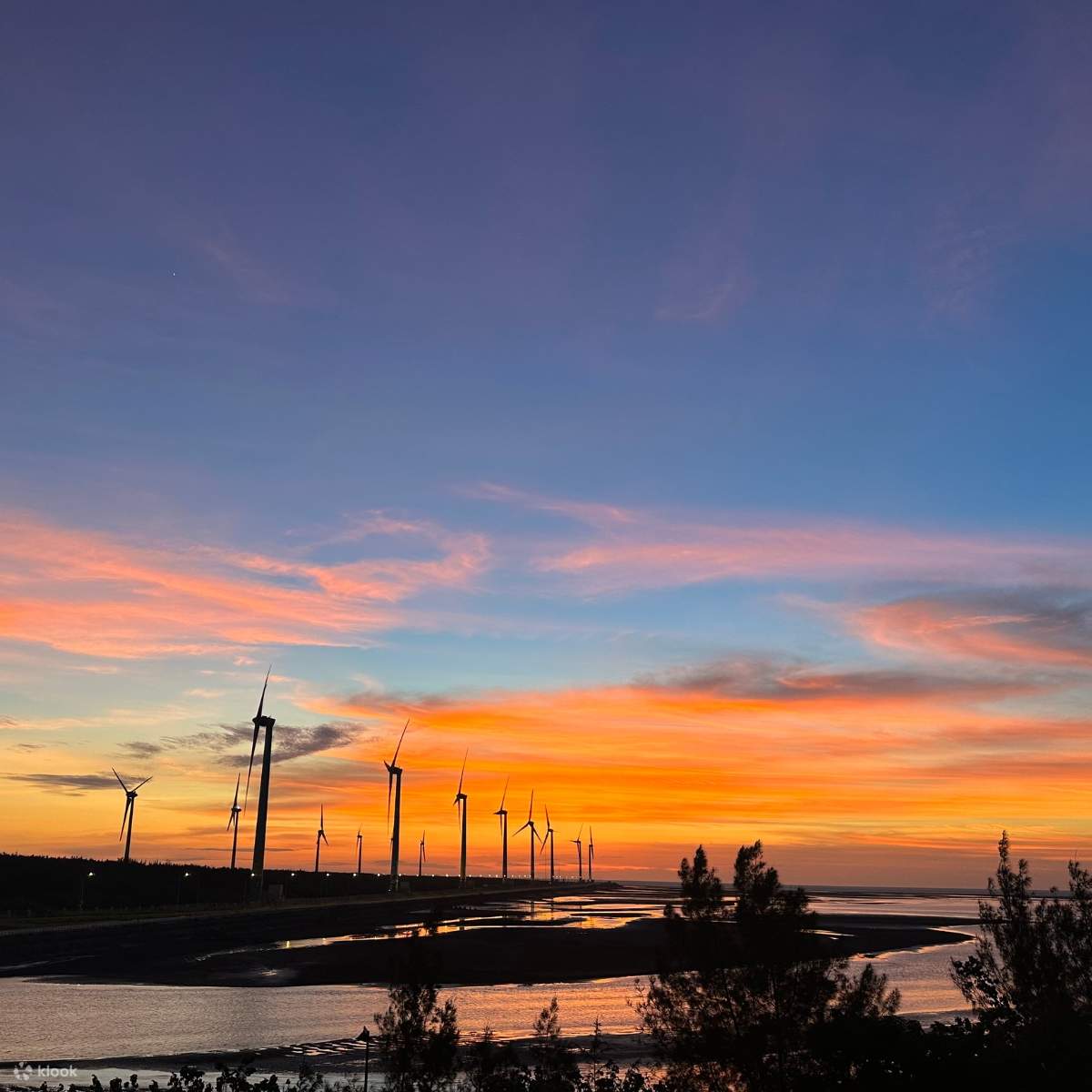 蝉说：夕阳漫漫｜夕阳