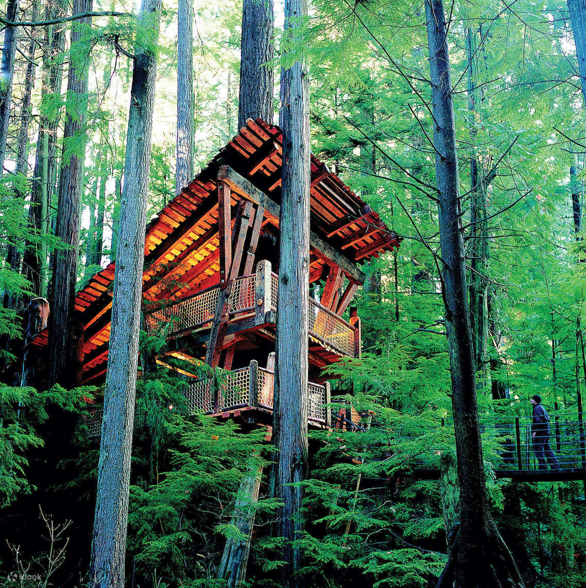 Capilano Suspension Bridge Park Ticket in Vancouver Klook