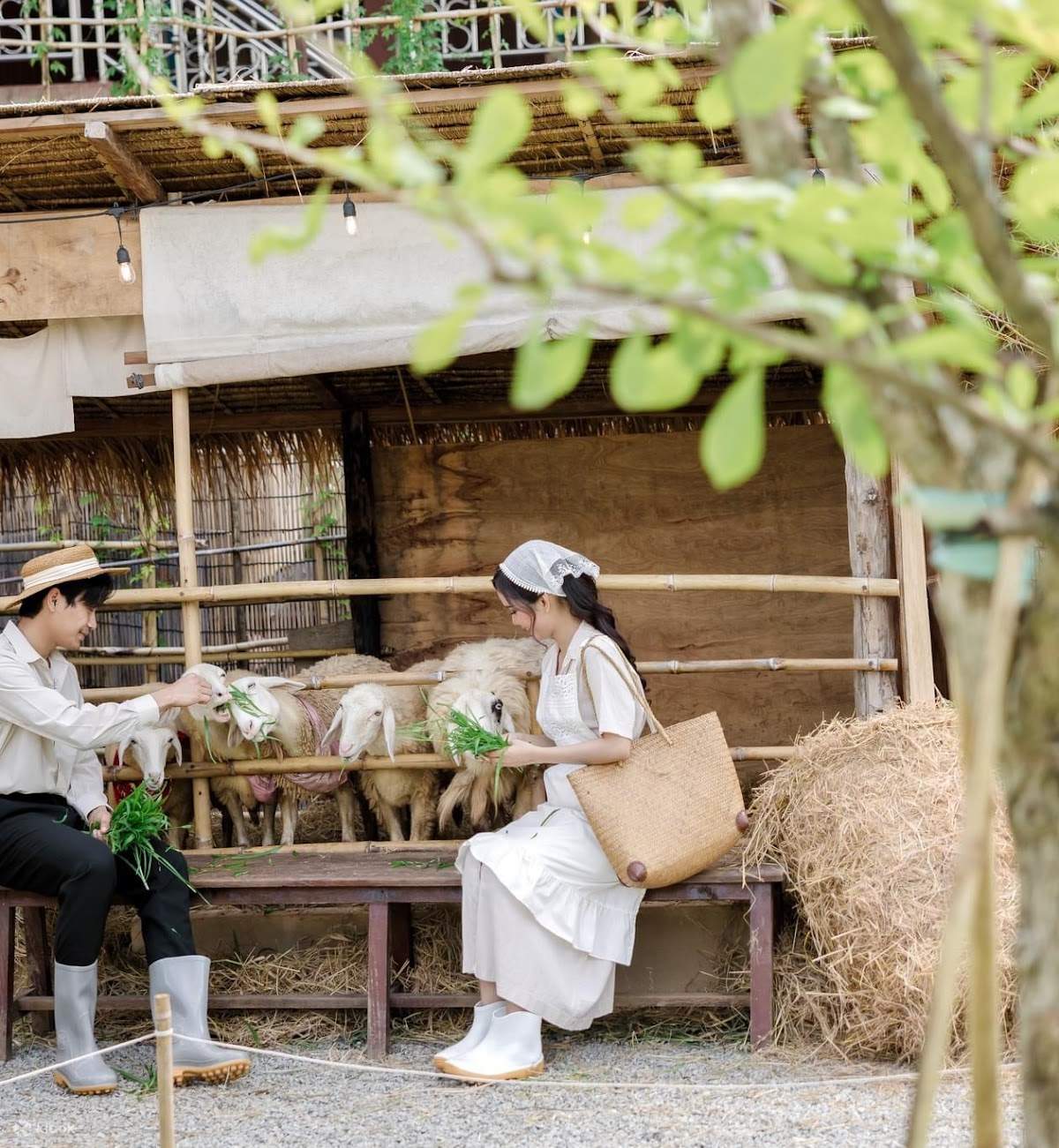 Fern Café – บรรยากาศสวนสวยเขียวชอุ่มและแสนอบอุ่น