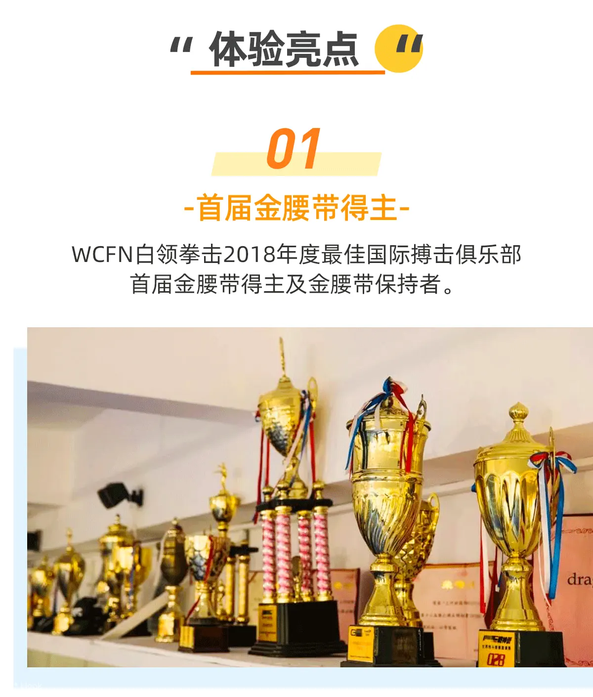深圳仁者无敌搏击体验奖杯