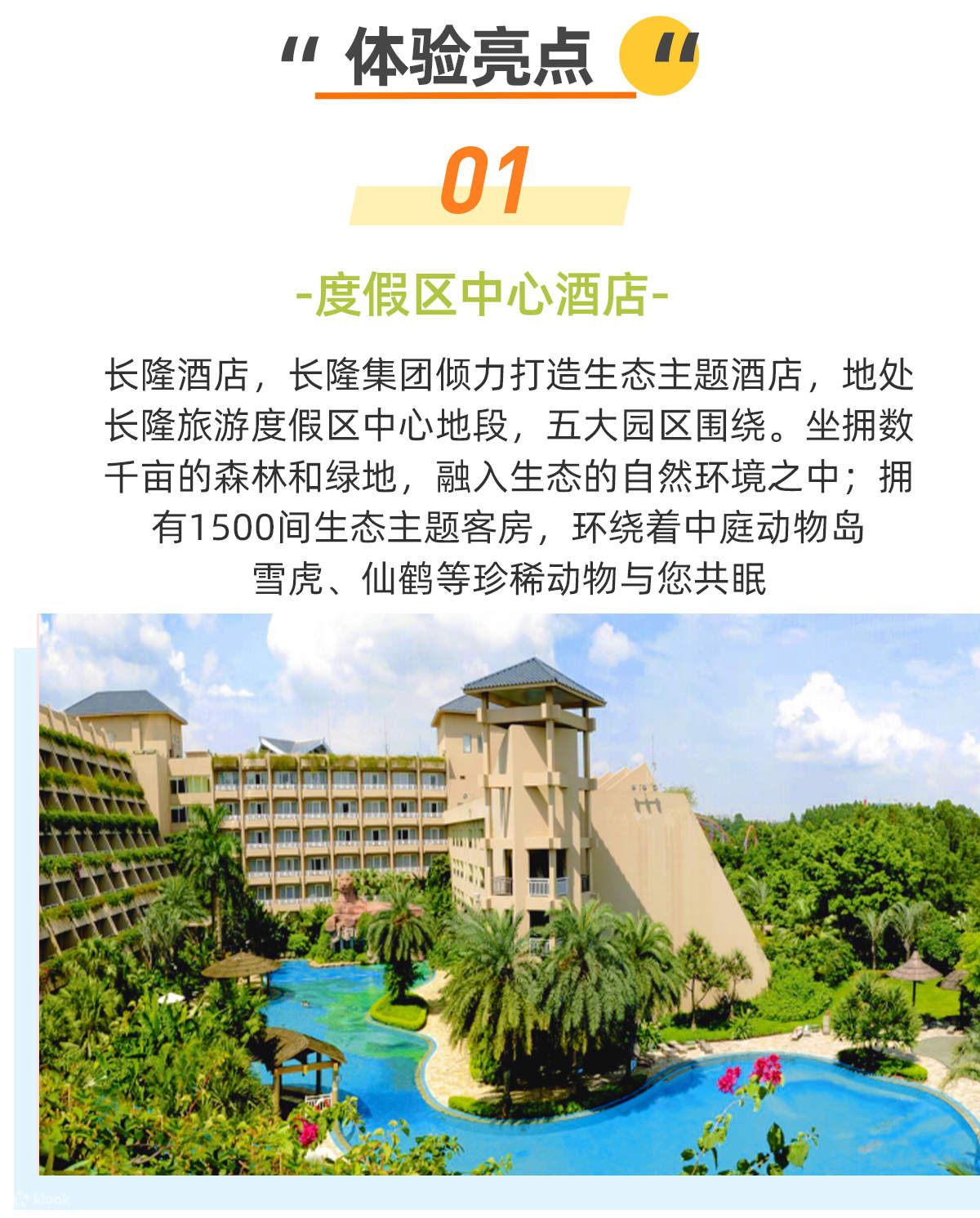 广州长隆酒店泳池