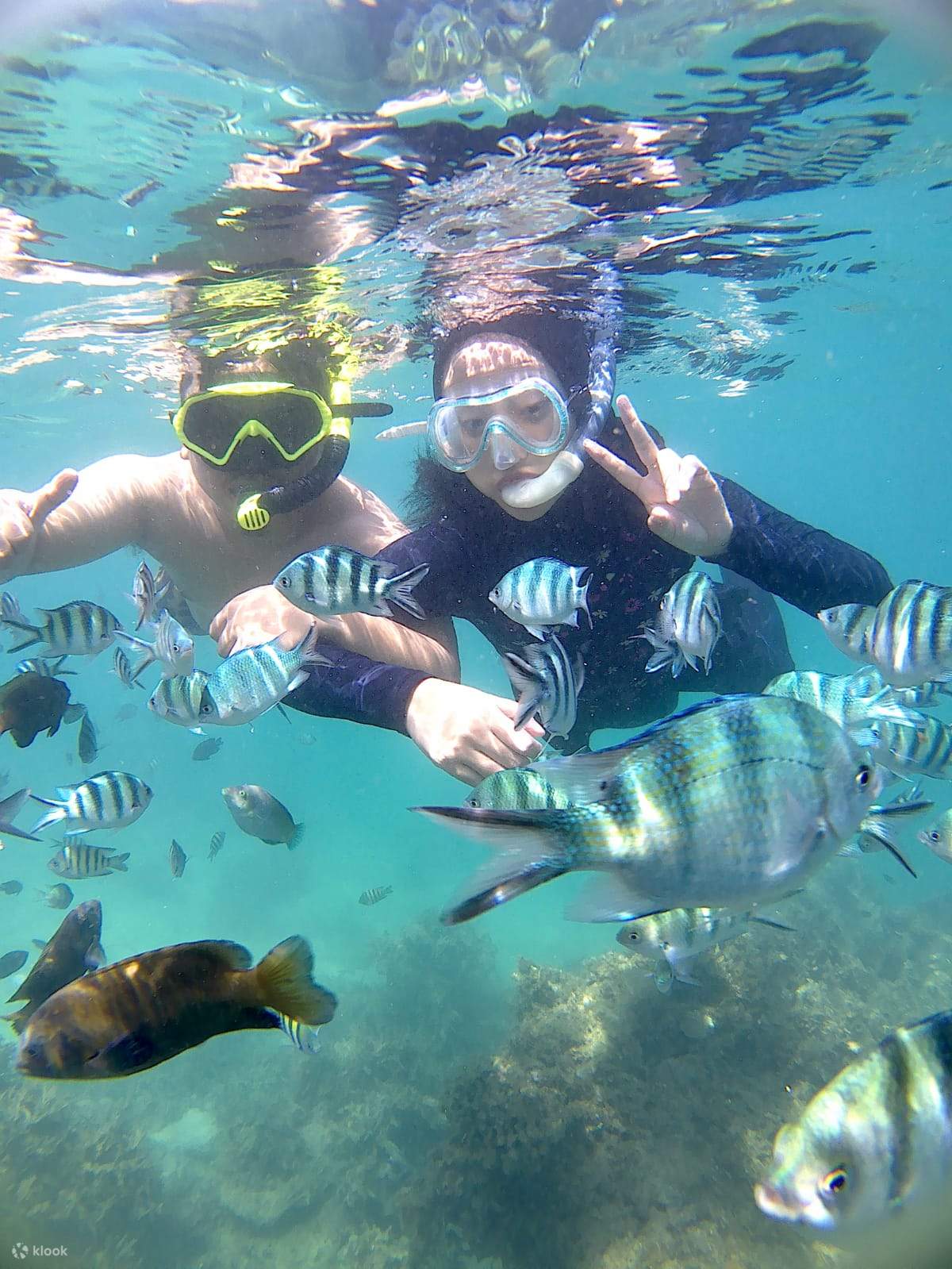 Snorkeling per famiglie