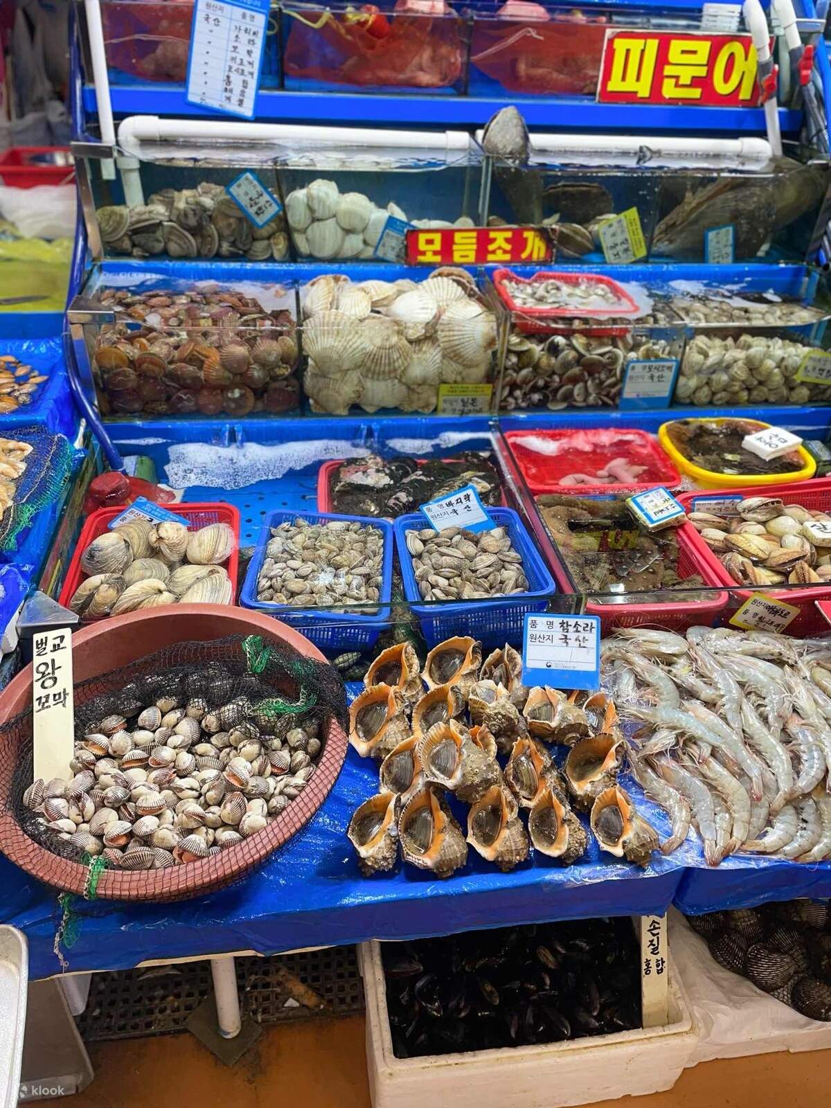 ทัวร์ชิมอาหารในตลาดปลาโนรยางจิน - Klook ประเทศไทย