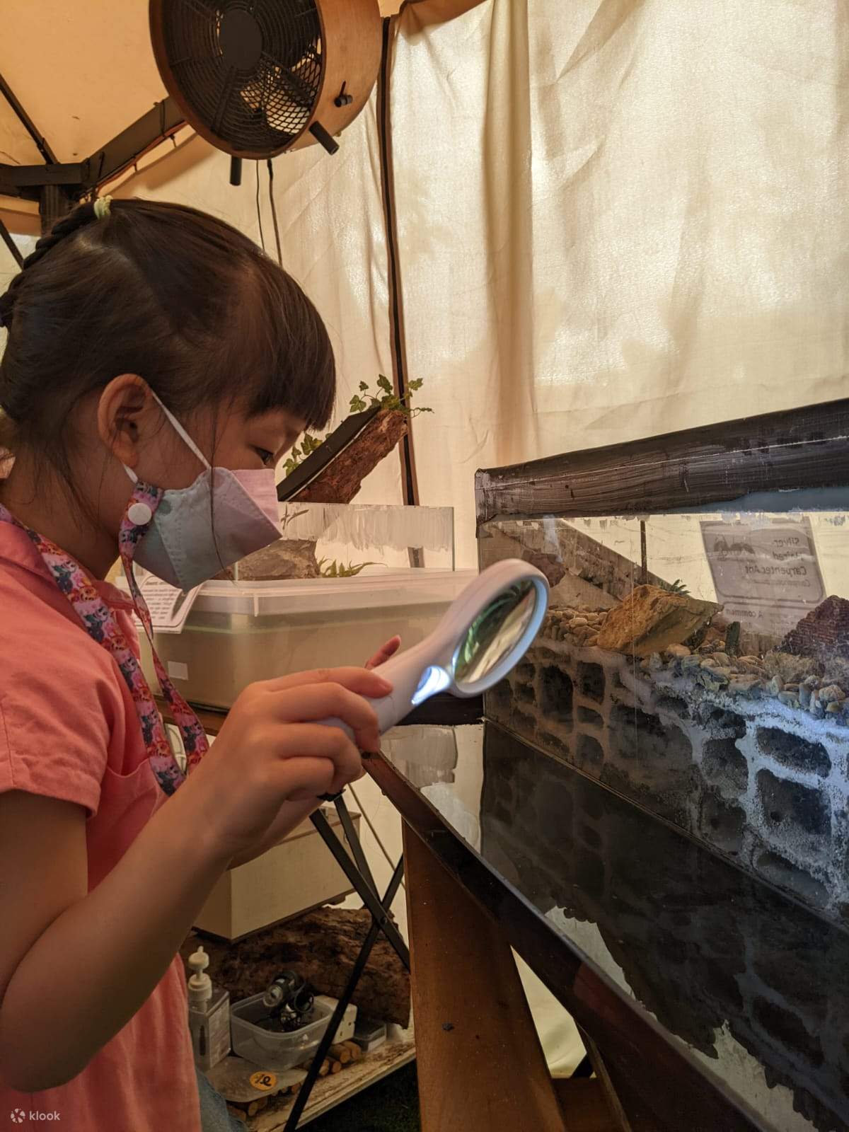 Ant Experience Singapore