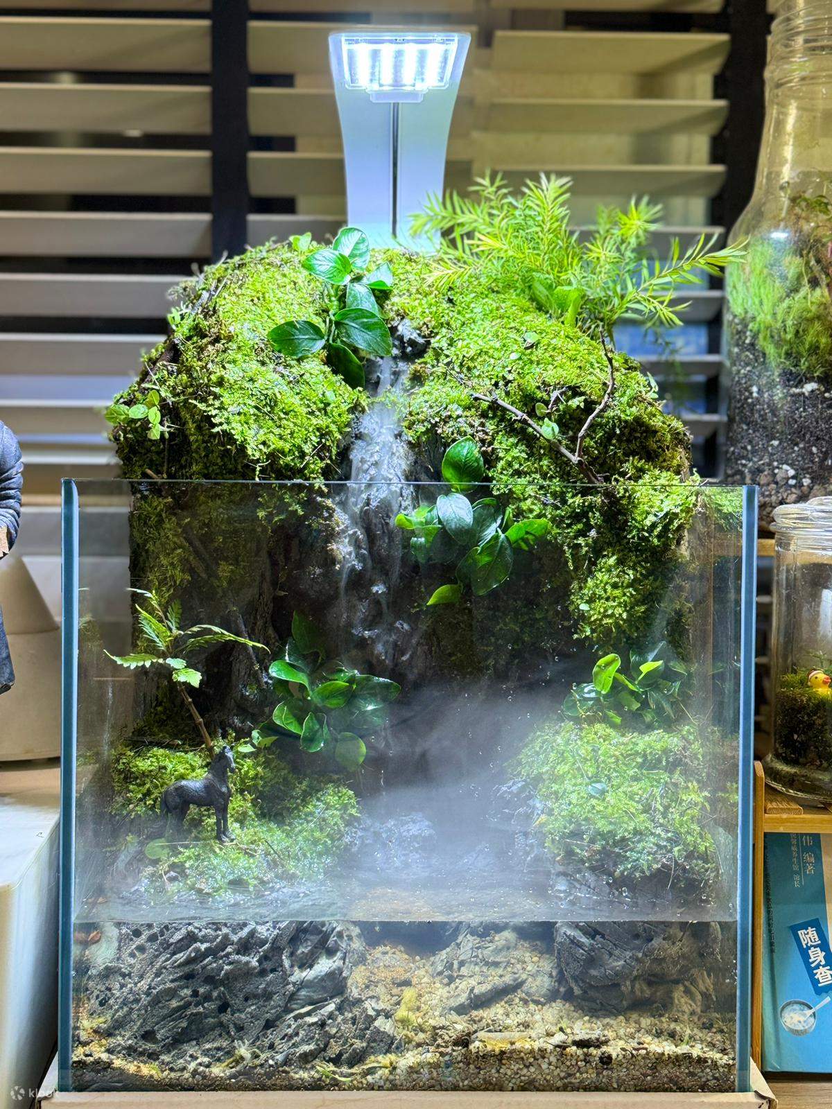 Singapore Terrarium Making Workshop - Klook Philippines 