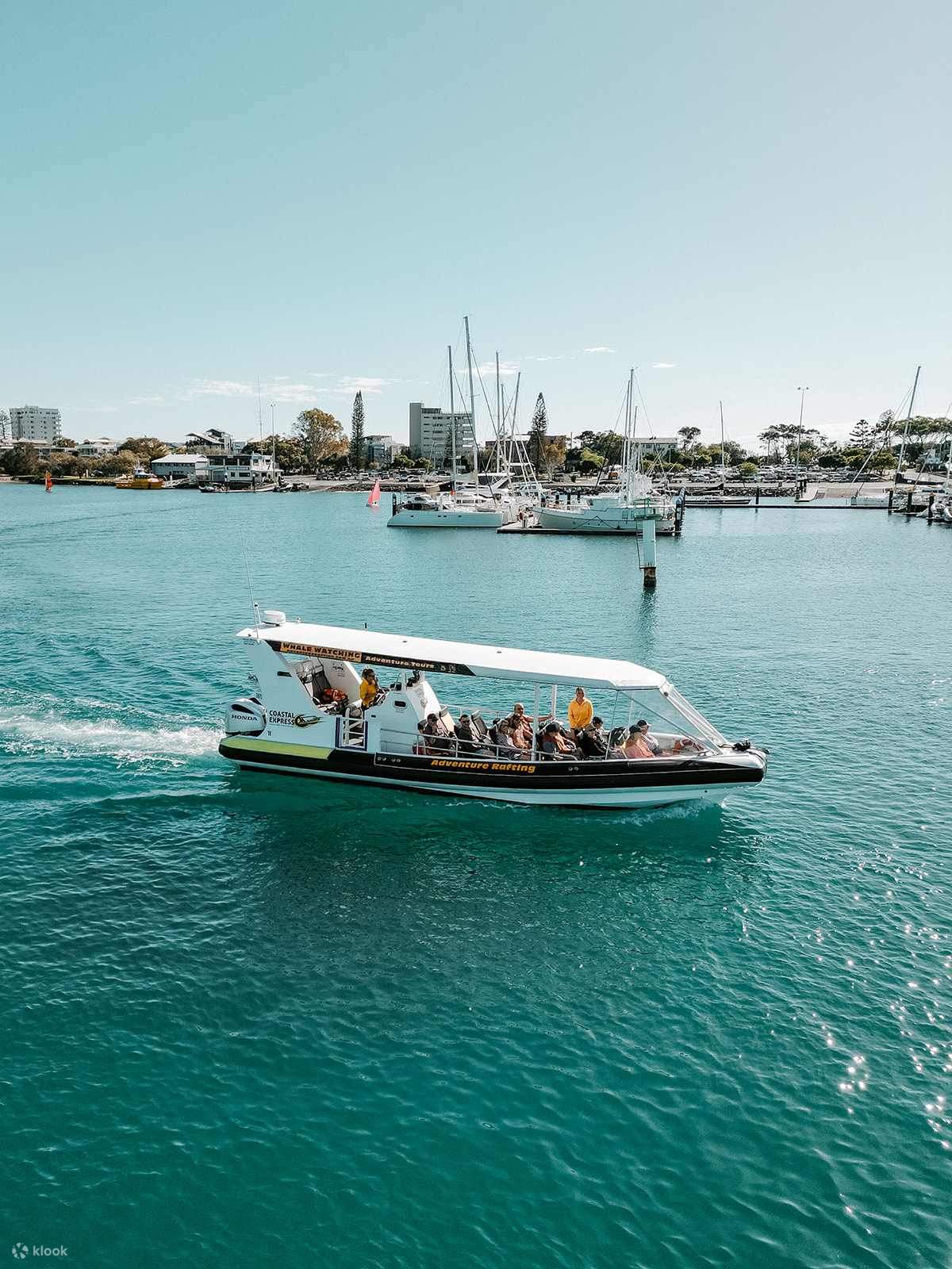 冒險漂流觀鯨船