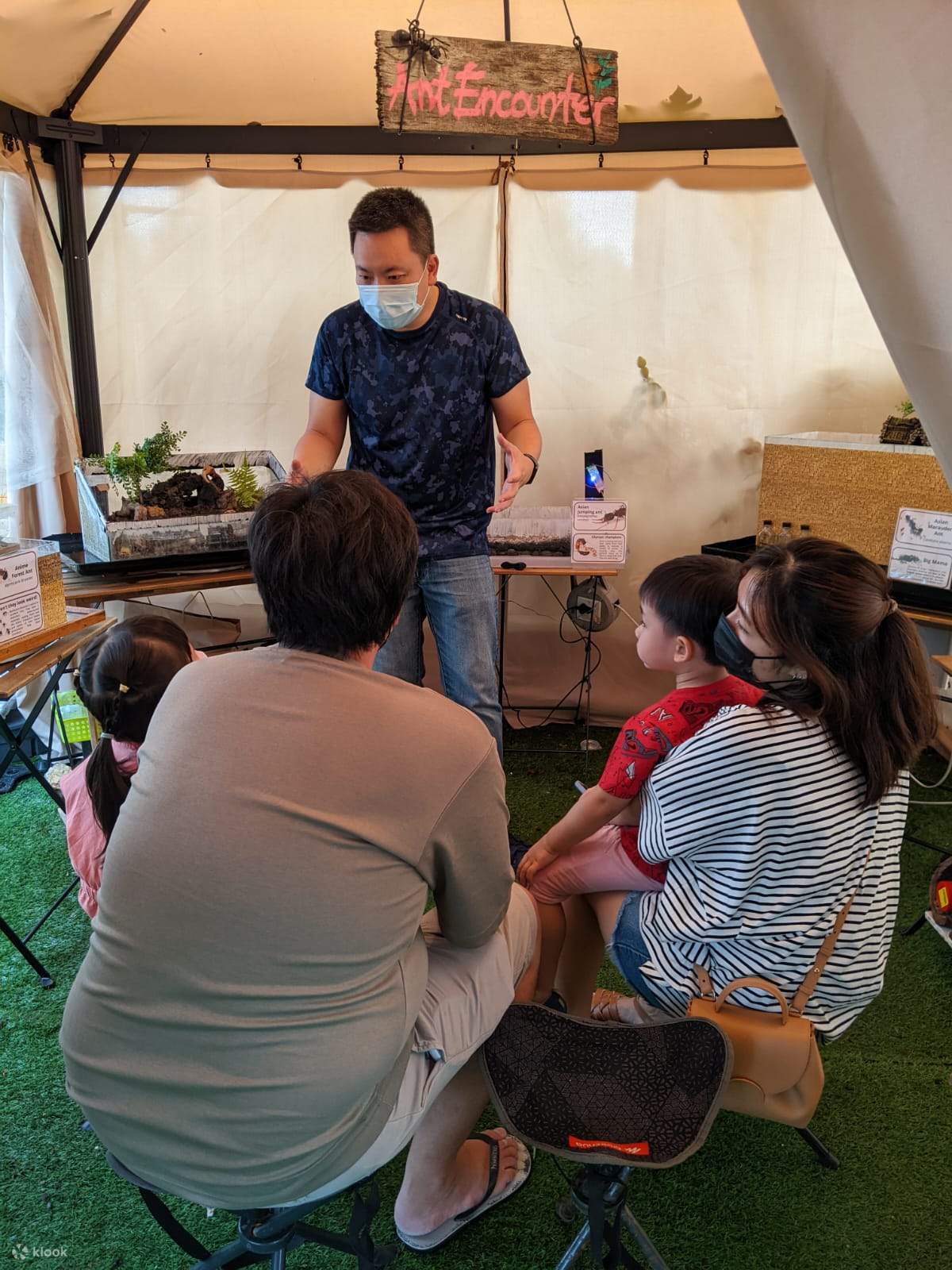 Ant Experience Singapur