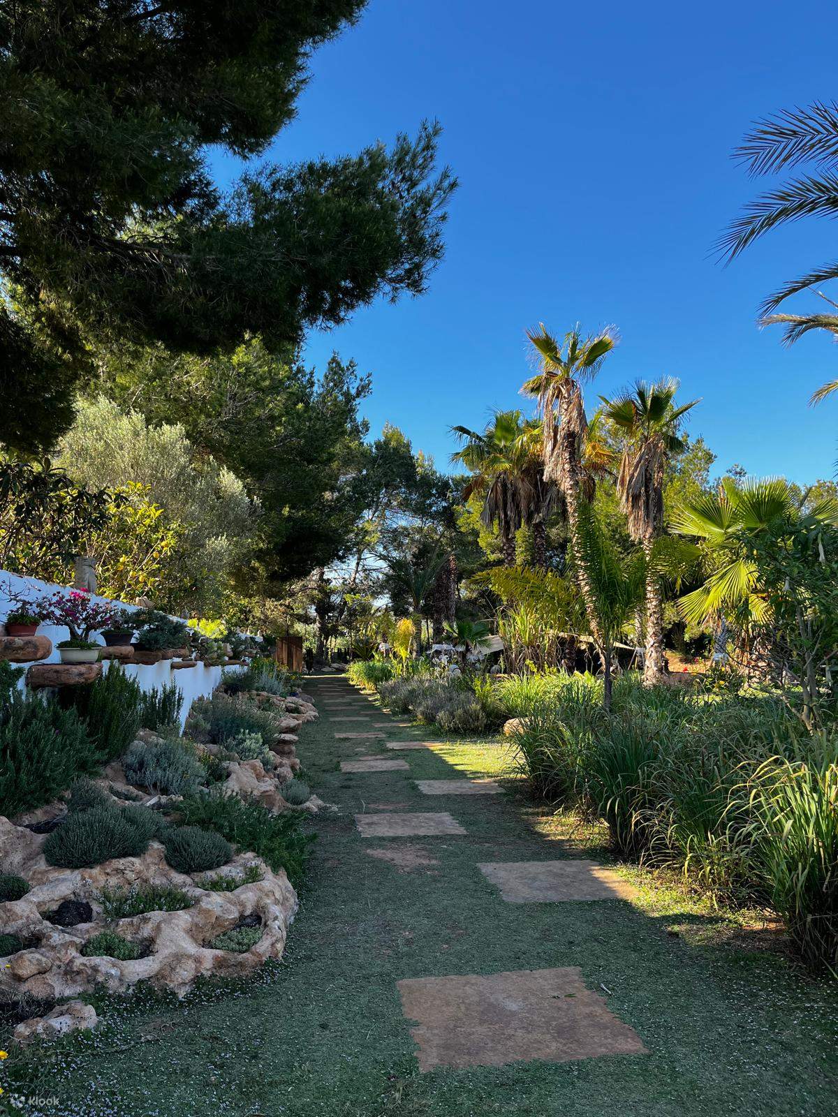 Ibiza Biotechnologischer Botanischer Garten Tour