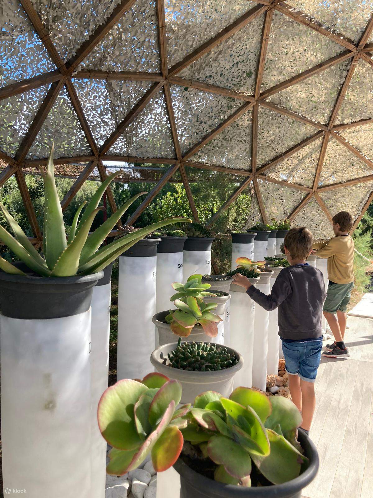 이비사 생명공학 식물원 투어