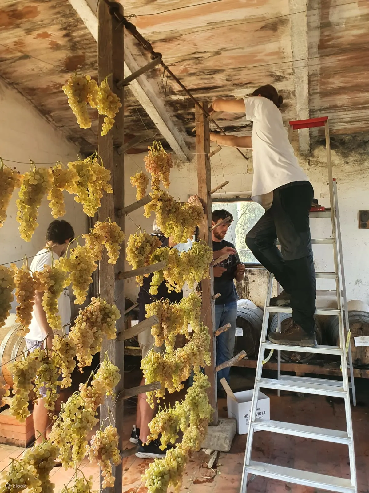 托斯卡纳美食与美酒：通过葡萄酒探索托斯卡纳