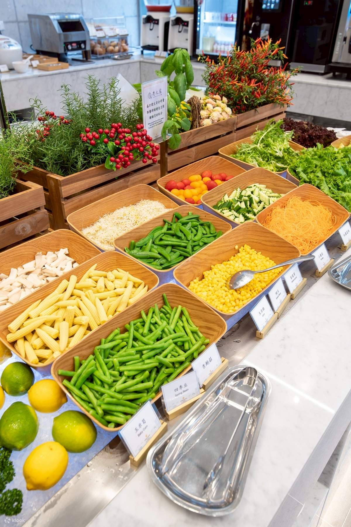 Fenghua Resort Hotel Jiaoxi Branch - FenghuaResortHotel JiaoxiBranch JapaneseBuffetRestaurant Yilan 