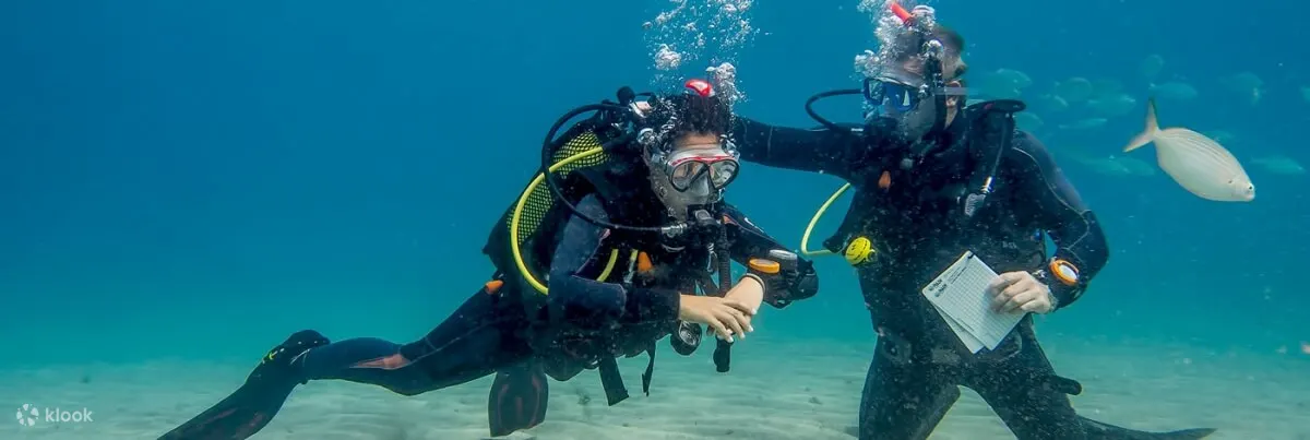 兰萨罗特岛的水下王国：PADI 5* 中心的开放水域潜水员