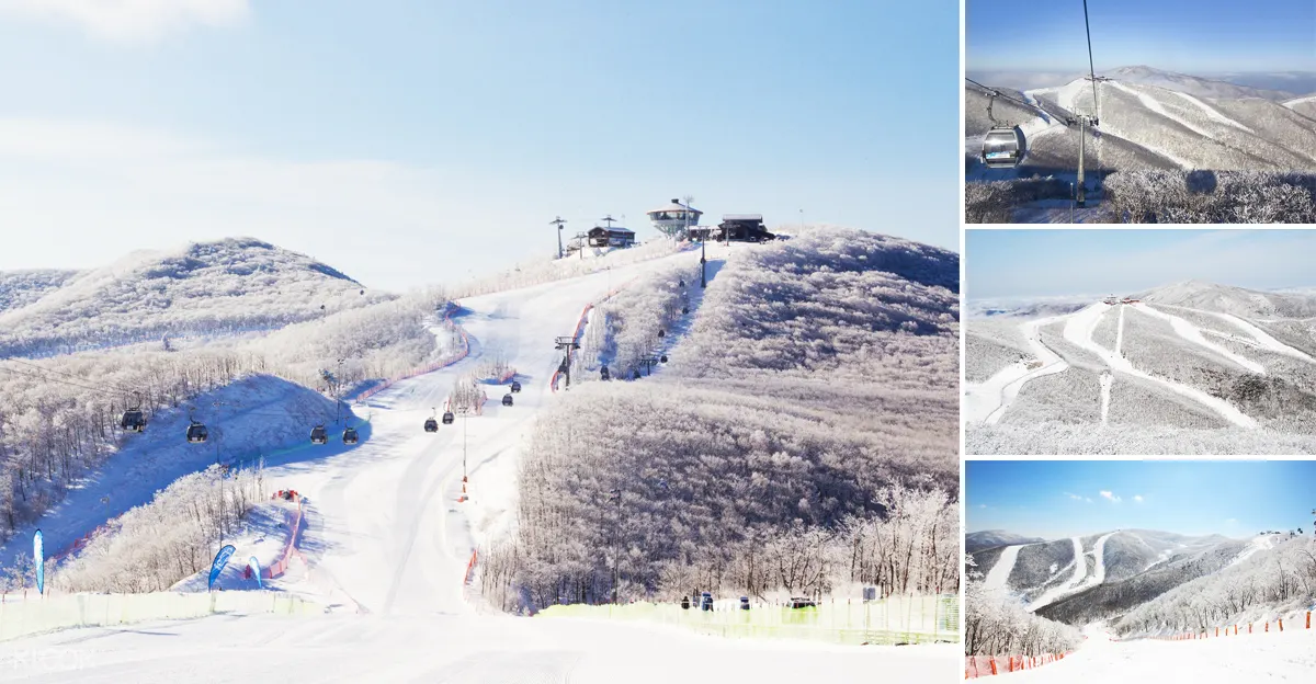 韓國江原道High1度假村