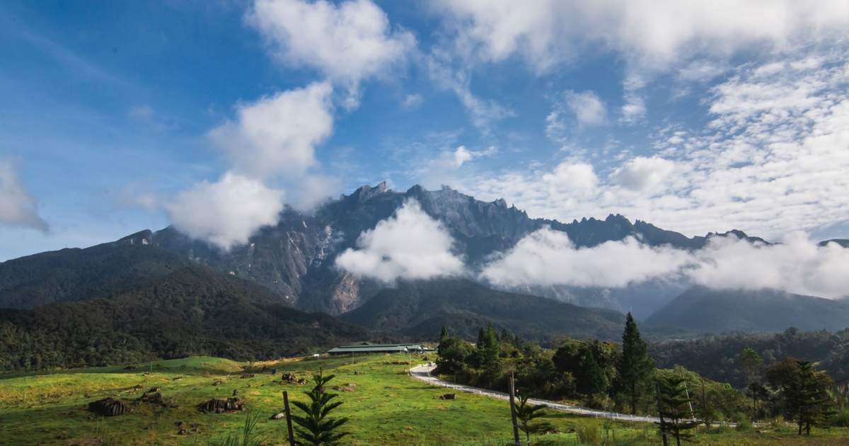 Mt Kinabalu Farm Day Tour Sabah Malaysia