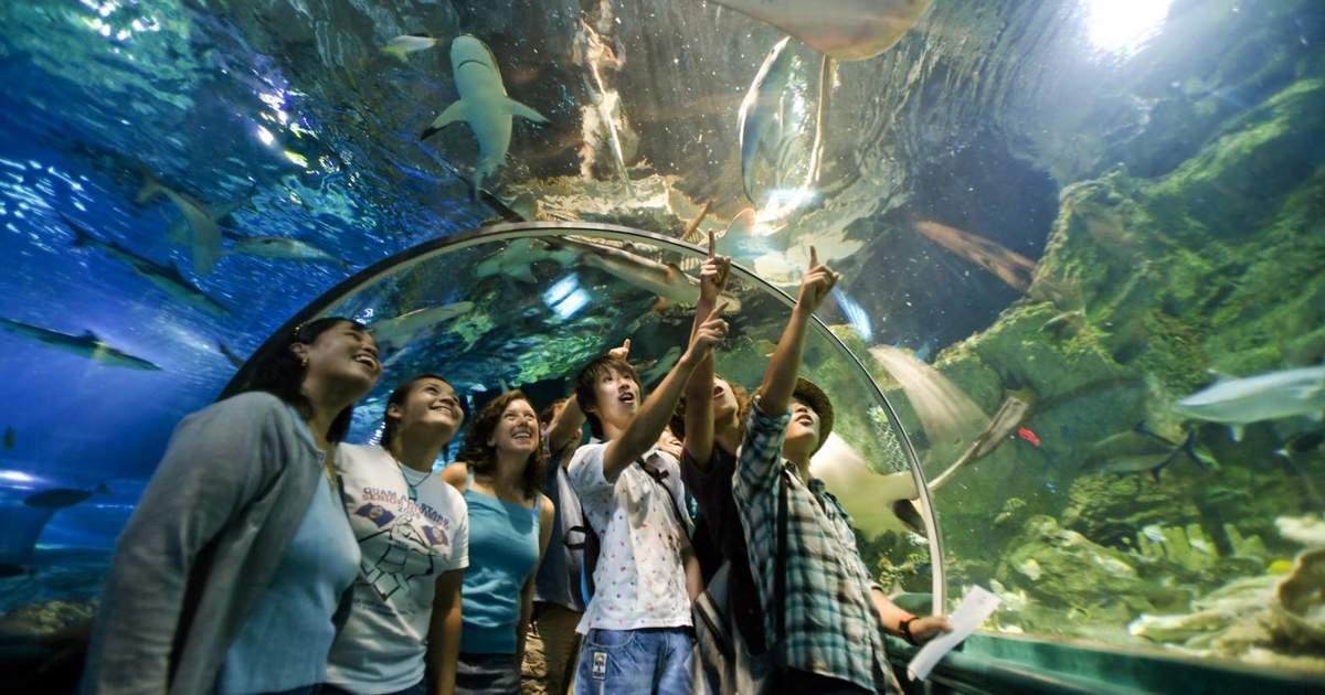 美国关岛海底世界水族馆门票 Klook客路中国