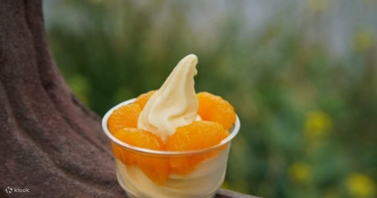 Jimmys Ice Cream in Jeju