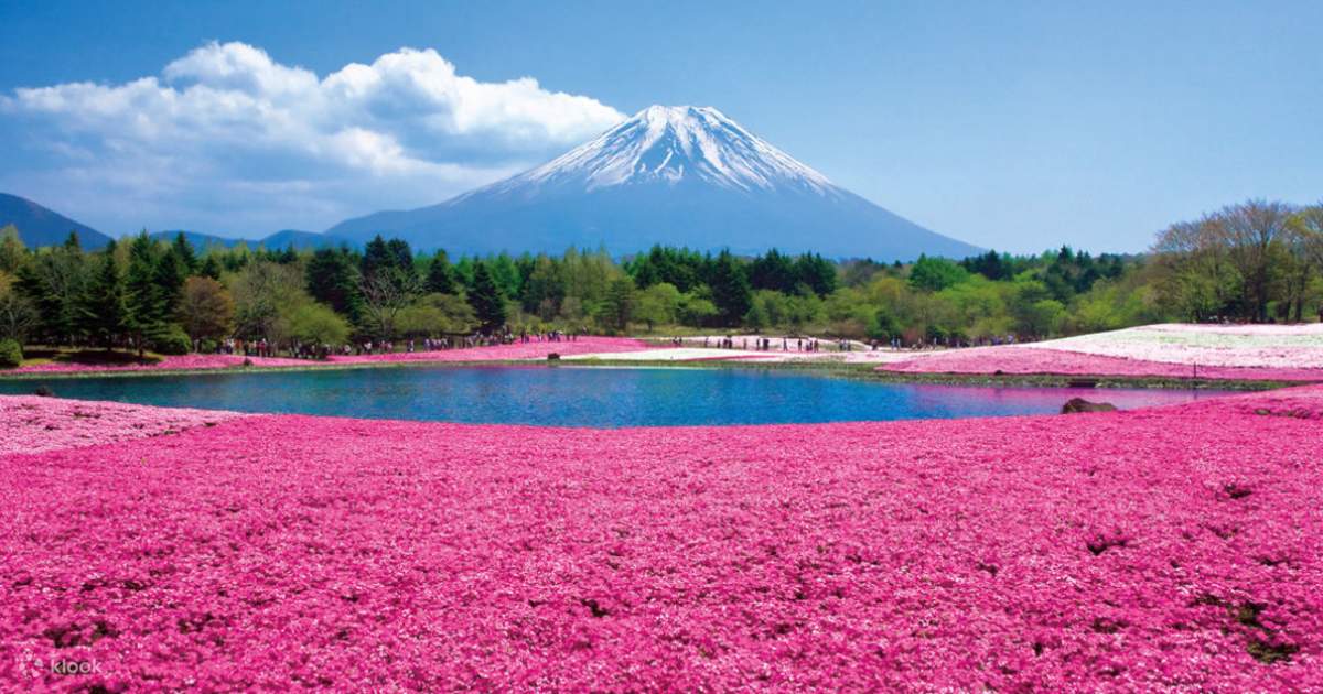 最新な ✨金の龍神と富士山と金の海✨ educationjournal.org