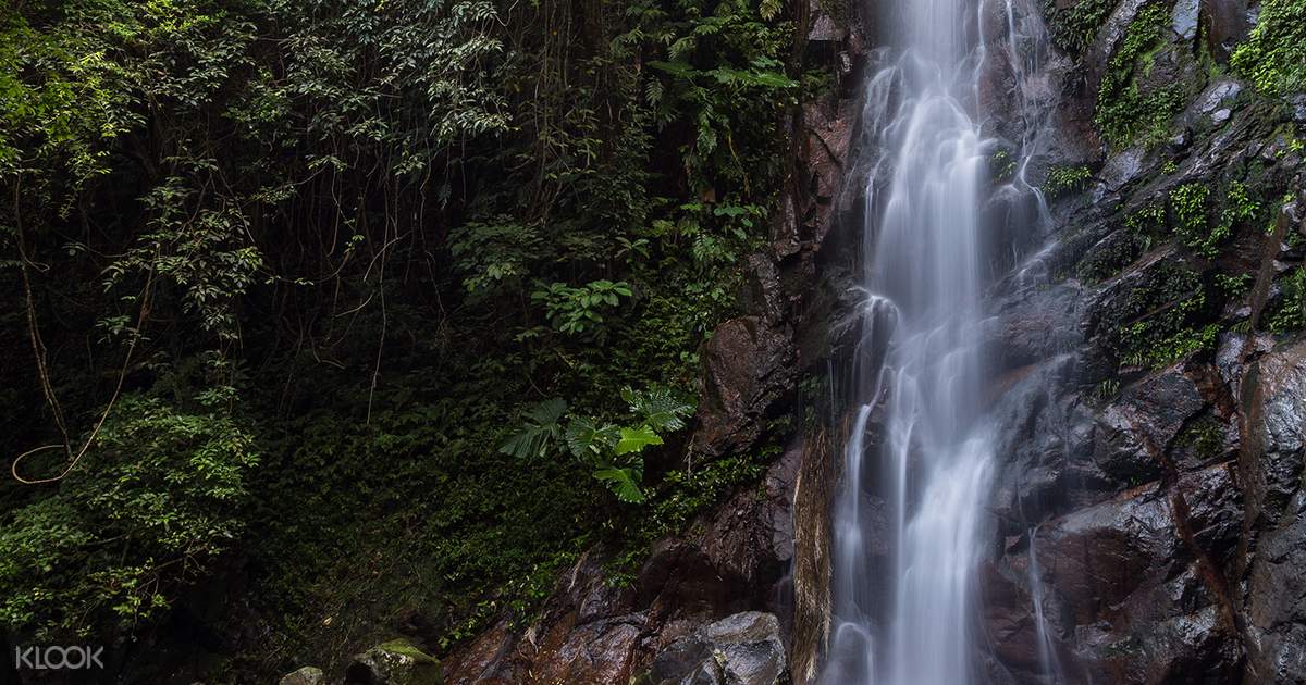 Tai Mo Shan Waterfall Hike - Klook Hong 