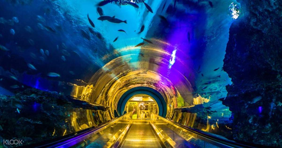 National Museum of Marine Biology & Aquarium Ticket