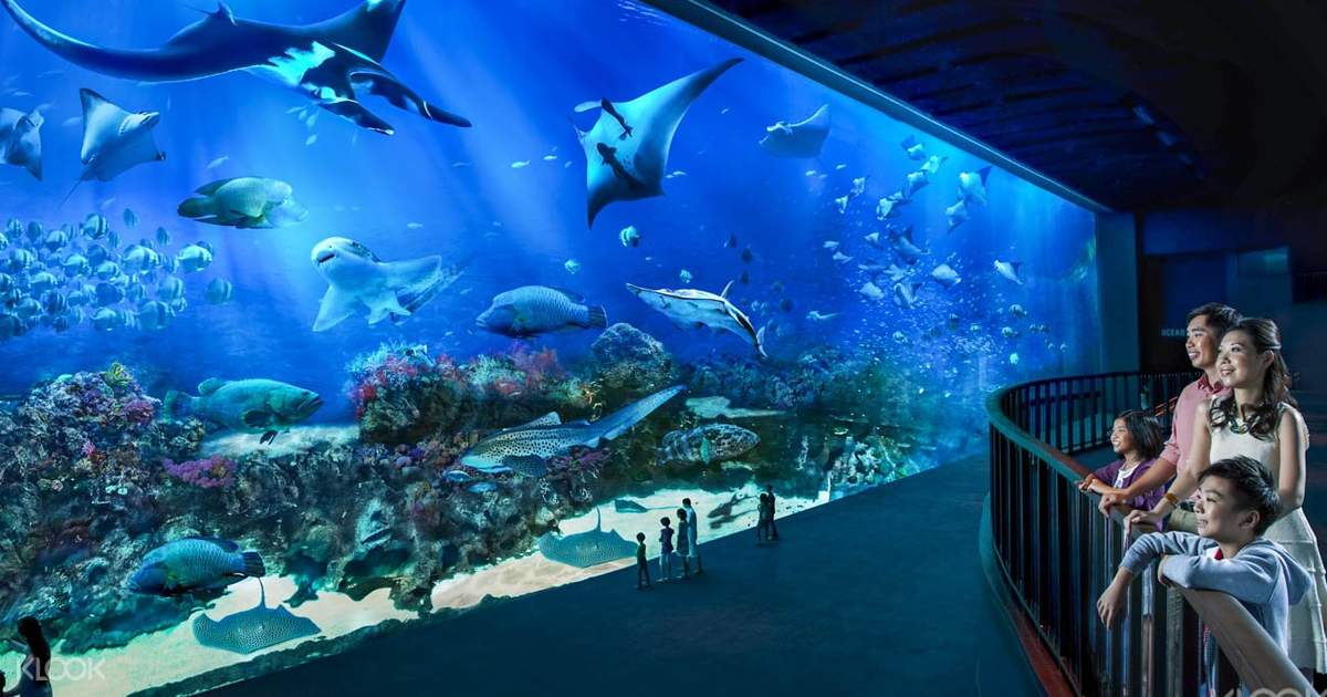 S.E.A. Aquarium Ticket Sentosa, Singapore - Klook