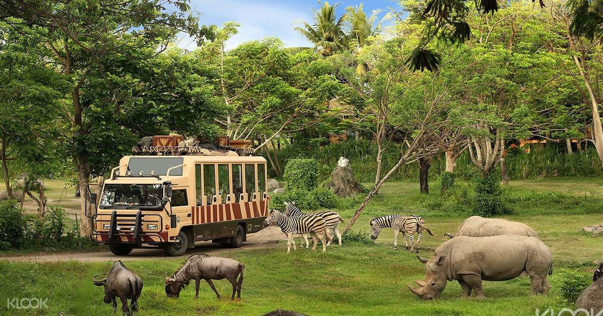 Bali Safari and Marine Park 'Rhino' with Transfers