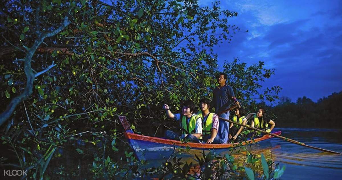 Fireflies Night Tour with Seafood Dinner and Boat Ride - Klook