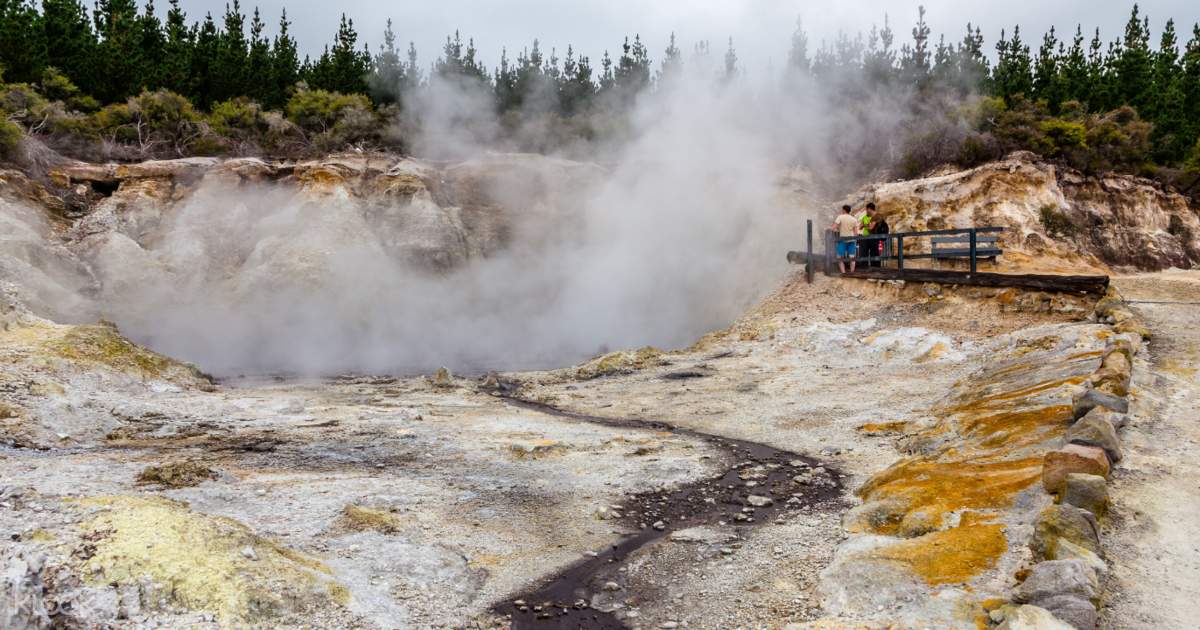Wallpaper Akses Masuk Hells Gate Geothermal Park Dan Wisata Berjalan For Android