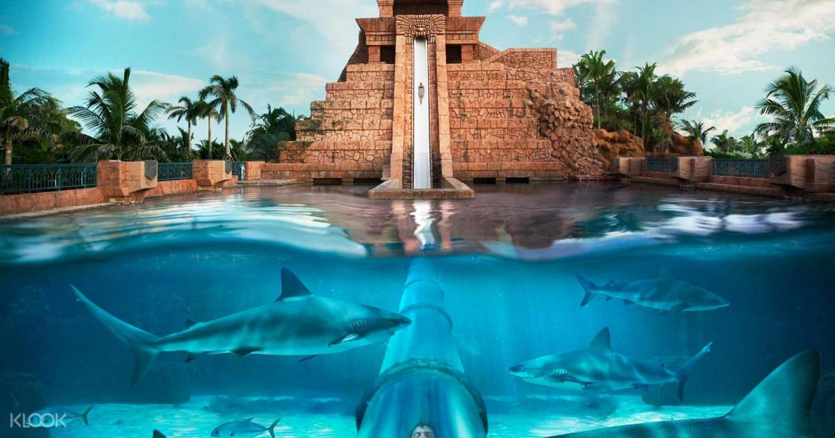 Billet pour le parc aquatique Atlantis Aquaventure Klook