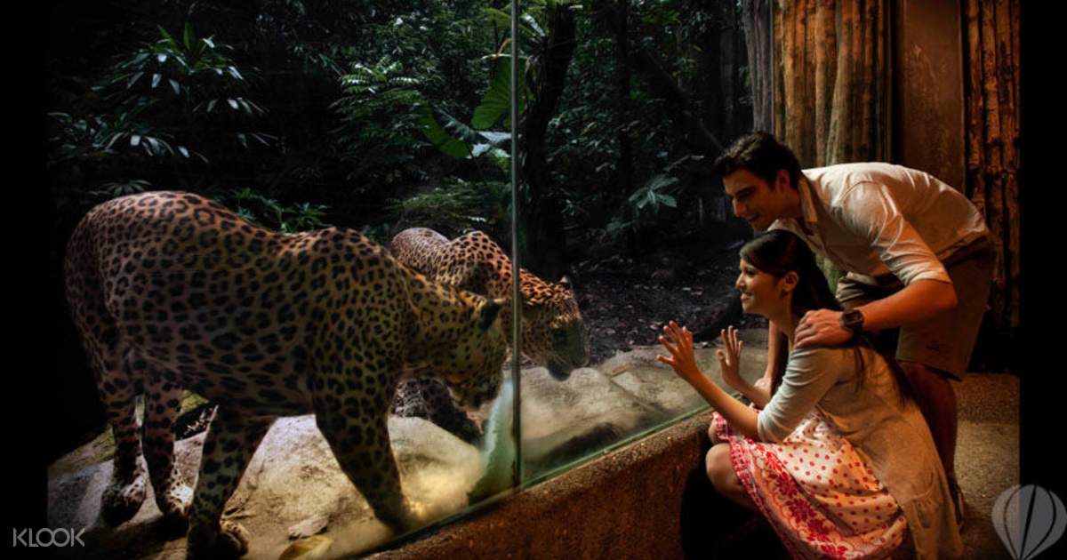 Singapore Night Safari Open Date Tickets - Klook