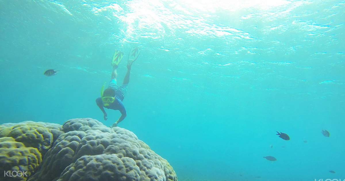 Snorkeling Amed - Klook