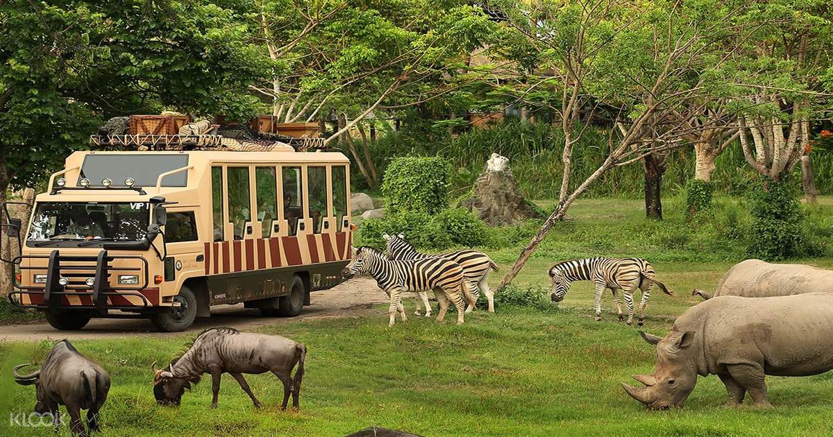 Bali Safari and Marine Park 'Rhino' with Transfers