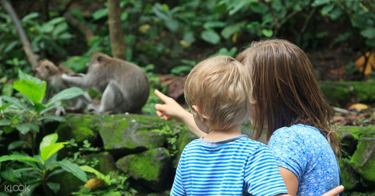 Bali Zoo Discount Tickets - Klook