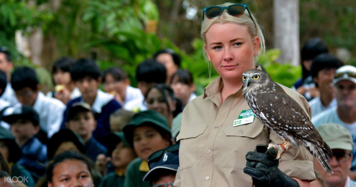 Currumbin Wildlife Sanctuary Klook